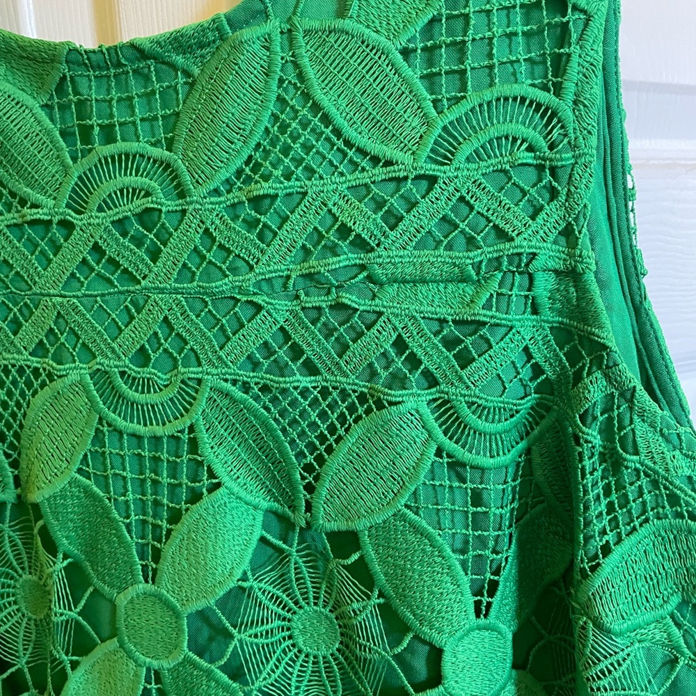 Anthropologie Green Lace Mini Dress - Picture 4 of 11